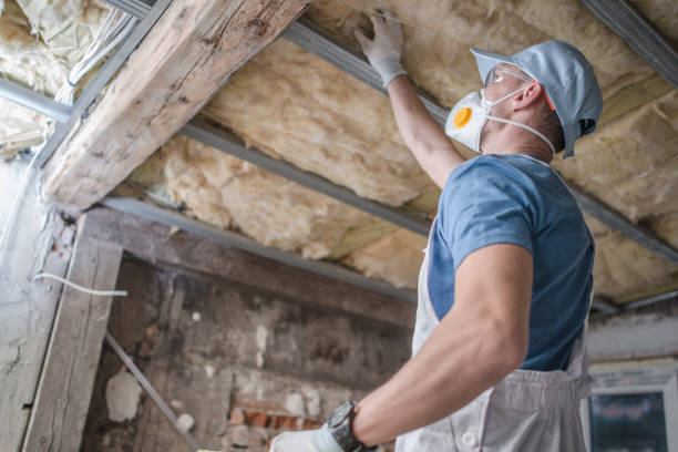 Best DIY Insulation Kits and Guidance in Arthurdale, WV